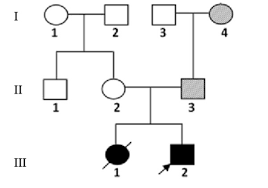 Chinese Siblings With Prader Willi Syndrome Inherited From