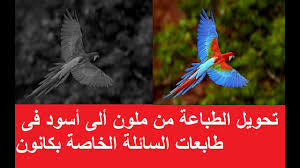 Driver epson xp 245 / epson xp 245 reset — video r. Ø·Ø±ÙŠÙ‚Ø© ÙÙƒ ÙˆØ£Ø®Ø±Ø§Ø¬ Ø§Ù„Ù‡ÙŠØ¯ Ø£Ùˆ Ø±Ø£Ø³ Ø§Ù„Ø·Ø§Ø¨Ø¹Ø© ÙÙŠ Ø¬Ù…ÙŠØ¹ Ø·Ø§Ø¨Ø¹Ø§Øª ÙƒØ§Ù†ÙˆÙ† Ù…Ø§ÙƒØ³ÙØ§ÙŠ Canon Maxify Youtube