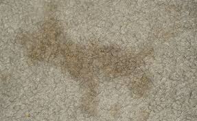 How To Detect Pet Urine In The Carpet With A Blacklight Urine Mapping