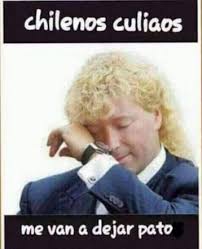 Y es que en las últimas horas, se reportaron múltiples sismos en la sexta región del país. Galeria Los Memes Que Dejo El Terremoto En Chile Epicentro Chile