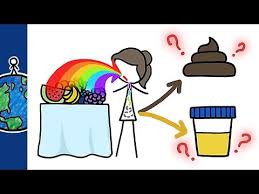 Pin On Food Drink Videos And Pidumps
