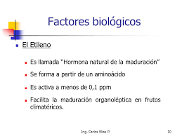 Factores bióticos ✓ te explicamos qué son los factores bióticos y cómo se clasifican. Mecanismos De Deterioro De Alimentos Ppt Video Online Descargar