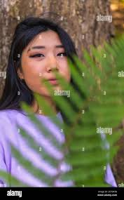 Japanese lady fern hi-res stock photography and images