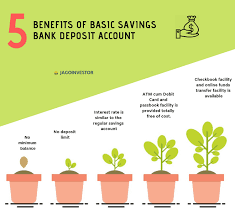 Pk70 bank 0000 1234 5678 9000. Basic Saving Bank Account No Minimum Balance Required Much More