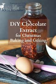 Diy Chocolate Extract For Christmas Baking And Gifting Recipe Chocolate Extract Homemade Spices Homemade Recipes