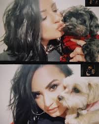 @ddlovato's video Tweet