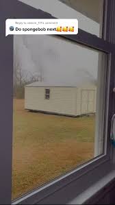 This was used for a project. Reply To Valerie 171 Me Hoy Mi Noy Fyp Foryou Doghousepaintings Windowart Windowpaint Doodlebob Spongebob Briannaritter Artistoftiktok