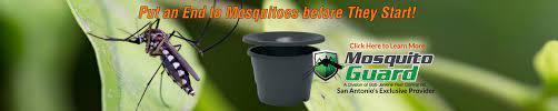 Bob jenkins pest & lawn services understands how important your home is to you, and we know how to help protect your home from insects and wild animals. Pest Control San Antonio Trusted Exterminator Lawn Services Maintenance