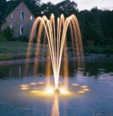 Check spelling or type a new query. Floating Pond Water Intake