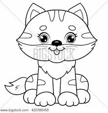 Set of pets including a cat, a dog, a parrot and other domestic animals, black and white vector illustrations in funny cartoon style for a coloring book. Coloring Page Outline Vector Photo Free Trial Bigstock