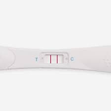 Ich hab mir den frühtest von clearblue early gekauft. 5 X Schwangerschaftstest Fruhtest Babyplan Hcg Hygienischer Schwangerschaftstest 10 Miu Ml Hochempfindlich Fur Babyplanung 99 6 Genauigkeit Sehr Langer Breiter Und Leicht Verwendbarer Stab Amazon De Drogerie Korperpflege