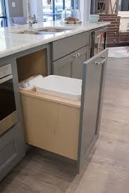 Pull Out Garbage Can Design By Dalton Carpet One Wellborn Cabinets Finish Back Wall Maple Glacier Island Wellborn Cabinets Kitchen Plans Wooden Kitchen