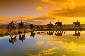 Image result for kruger national park south africa