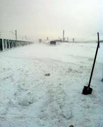 Cea mai bună muzică de ieri și de azi. Video Trafic RestricÅ£ionat Spre Bucuresti Pe E85 Ce Alte Drumuri Mai Sint Inchise