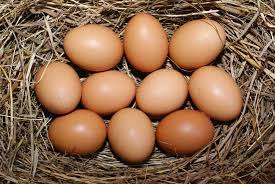Sudah kami jelaskan secara detail pada table suhu dan kelembapan yang ideal untuk penetasan telur. 3 Cara Menetaskan Telur Ayam Brahma Agar Menetas Dengan Baik Ayamkalkun Com