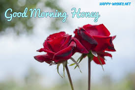 Good Morning Honey Wishes Pictures Good Morning Honey Good Morning Love Good Morning Images
