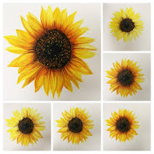 Follow along to learn how to draw and color a sunflower easy, step by step. Attempting The Anna Mason Approach Jackson S Art Blog