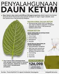  selebihnya mengamalkan agama lain. Melakafm Penyalahgunaan Daun Ketum Melakafm Facebook