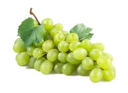 Grapes (ద్రాక్ష)