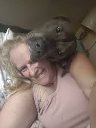 Stitch is clingy tonight 🥰🤣