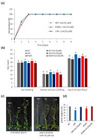Download over 703 free after effects intro templates! Ijms Free Full Text Mutation Of Arabidopsis Copper Containing Amine Oxidase Gene Atcuaod Alters Polyamines Reduces Gibberellin Content And Affects Development Html