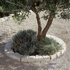 idees jardin 60 bordures qui ont de l allure en 2021 amenagement jardin olivier bordure jardin jardins