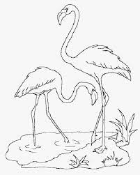glass sticker patterns dyes coloring books stencils painting animals birds flamingo art coloriage de mandala poisson