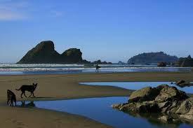 The beach is best during low tide, and visitors should be cautious during high tide as the beach becomes mostly covered by waves. Trinidad Area Beach Information