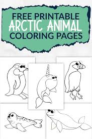 #kidmademodern #freeprintables #kidsartprintables #coloringprintablesforkids #coloringforkids #artactivityforkids #freecoloringpage #pagestocolorforkids. Free Printable Arctic Animal Coloring Pages Simple Mom Project
