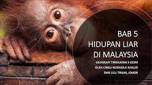 Geografi bab 16 tingkatan dua. Nota Geografi Tingkatan 3 Kssm Bab 5 Hidupan Liar Di Malaysia Youtube
