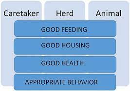 Im posting this on behalf of my gf, her professor stated that while taking an online exam she is able to detect if a new tab is opened or if you navigate away from the test in web courses, is this true? Frontiers The First Protocol For Assessing Welfare Of Camels Veterinary Science