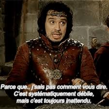 Tumblr Nowktyfyl71qaybgdo4 250 Gif 245 245 Kaamelott Debile Humour