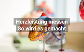 Herzleistung Messen Welche Verfahren Gibt Es Praktischarzt