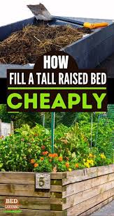 Maybe you would like to learn more about one of these? Cheap Way To Fill A Tall Raised Bed Watering Raised Garden Beds Vegetable Garden Raised Beds Tall Raised Garden Beds