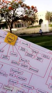 Trusted clinically focused anatomy text! 8 Studying Ideas Study Productivity Apps Android Student Apps