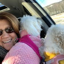 What to do for a chicken that survived a fox attack?