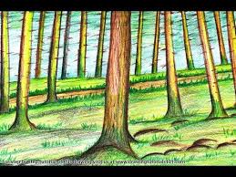 Jul 20, 2009 · step 1. How To Draw A Forest Trees Step By Step Very Easy Youtube