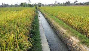 Tempoh masa ini menyaksikan mekanisasi pembuatan pertanian dan tekstil dan revolusi kuasa. Begini Revolusi Industri 4 0 Di Sektor Pertanian