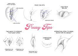 Here are some pussy tips : r hentai