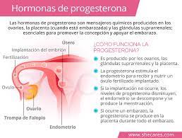 Progesterona Shecares