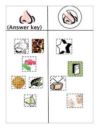 Sense Of Smell Assessment Classroom Teaching Assessment