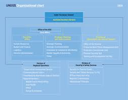 When creating an organizational chart, you should. Organizational Chart United Nations