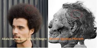 Women, like men, wore hose and leather shoes. What Hair Texture Did Ancient Egyptians Have Quora