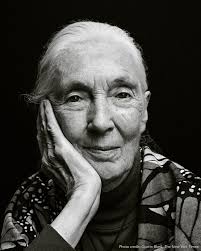 Zeitgeist Jane Goodall