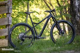 Image result for Orbea knobelii