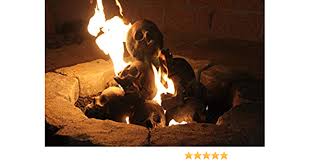 Maybe you would like to learn more about one of these? Amazon Com Epic Flame 10 Skull Kit For Roughly 24 Gas Fire Pit Patio Lawn Garden