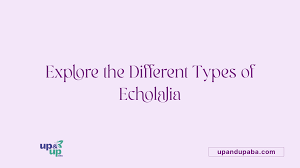 Image result for Echophenomena
