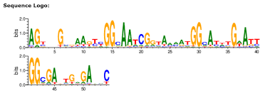 Give us a call and we'll help you determine the best supply option for your operations. File Znf226 Zf C2h2 Domains Binding Sites Png Wikipedia