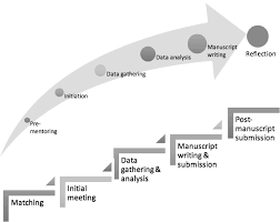 These additional mentoring expectations can help support the mentee's development. Mentoring Stages A Study Of Undergraduate Mentoring In Palliative Medicine In Singapore