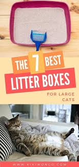 It would make sense that something that is used so frequently on a daily basis requires that we a good rule of thumb is that the box should be at least 1.5 times the length of the cat from the nose to the base of the tail. The 7 Best Litter Boxes For Large Cats If You Are The Proud Owner Of A Large Fluffy Feline First Off Congratu Best Litter Box Litter Box Best Cat Litter